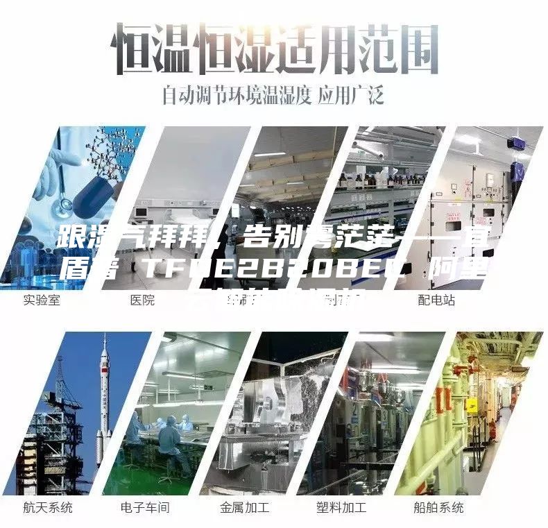 跟濕氣拜拜，告別霧茫茫——宜盾普 TFDE2B20BEC 阿里云智能除濕機(jī)