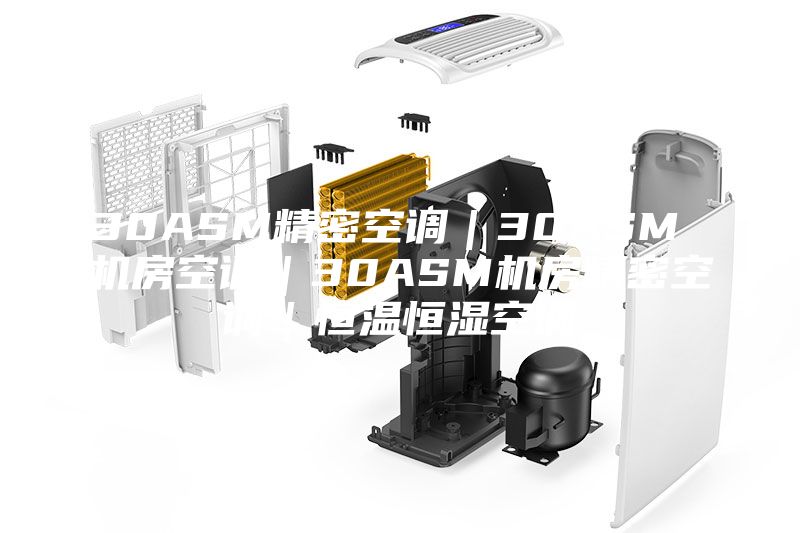 30ASM精密空調(diào)｜30ASM 機(jī)房空調(diào)｜30ASM機(jī)房精密空調(diào)｜恒溫恒濕空調(diào)