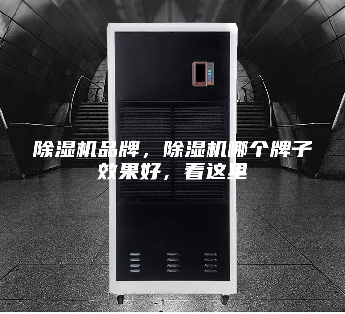 除濕機品牌，除濕機哪個牌子效果好，看這里