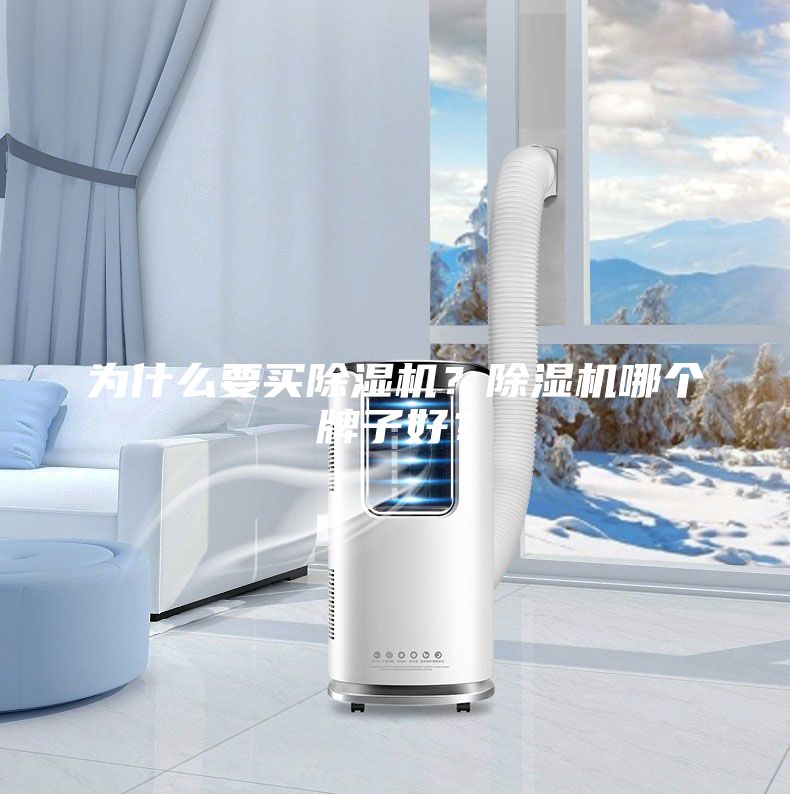 為什么要買除濕機？除濕機哪個牌子好？