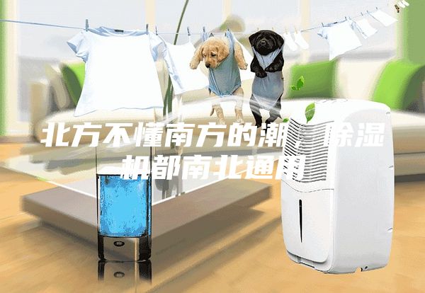 北方不懂南方的潮，除濕機(jī)都南北通用