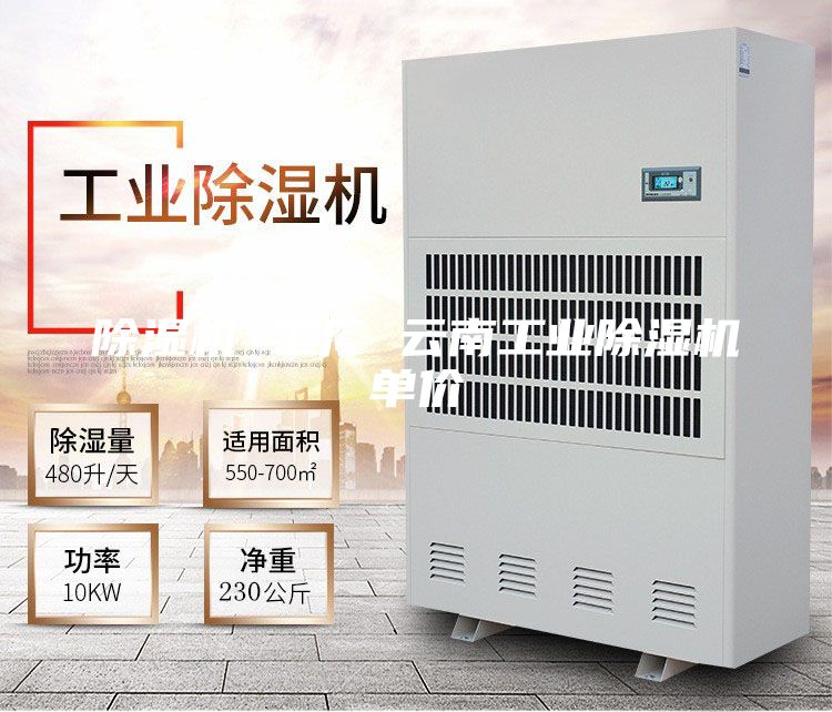 除濕機 工廠 云南工業除濕機單價