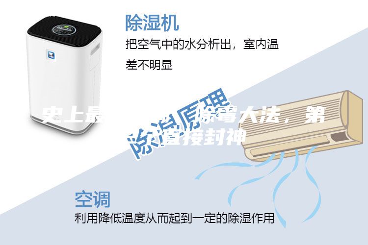 史上最全防潮、除霉大法，第2個直接封神