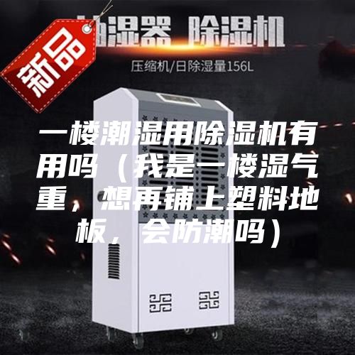 一樓潮濕用除濕機有用嗎（我是一樓濕氣重，想再鋪上塑料地板，會防潮嗎）