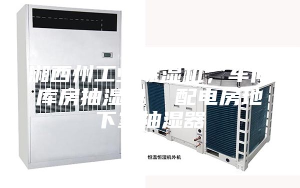 湘西州工業除濕機，車間庫房抽濕機  配電房地下室抽濕器