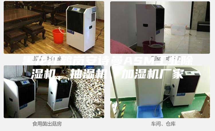 黑龍江鶴崗安詩曼ASM工業(yè)除濕機(jī)，抽濕機(jī)、加濕機(jī)廠家