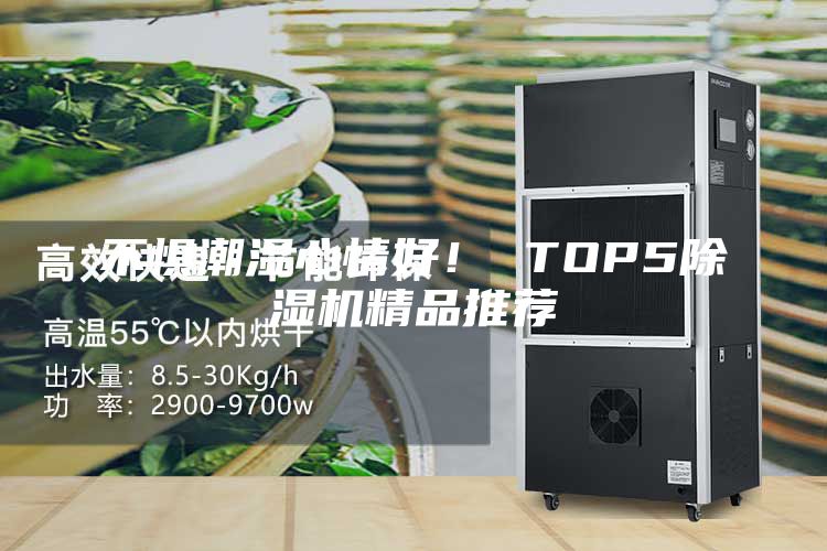 不懼潮濕心情好！ TOP5除濕機精品推薦