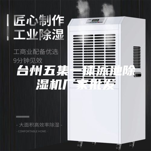 臺州五集一體泳池除濕機(jī)廠家批發(fā)
