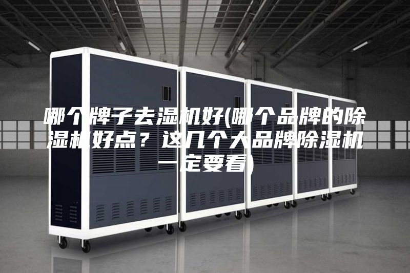 哪個牌子去濕機(jī)好(哪個品牌的除濕機(jī)好點(diǎn)？這幾個大品牌除濕機(jī)一定要看)