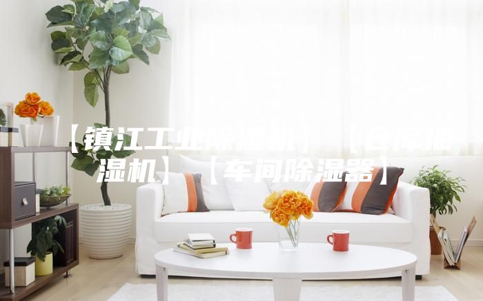 【鎮(zhèn)江工業(yè)除濕機(jī)】【倉(cāng)庫(kù)抽濕機(jī)】【車(chē)間除濕器】