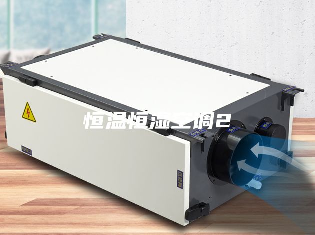 恒溫恒濕空調(diào)2
