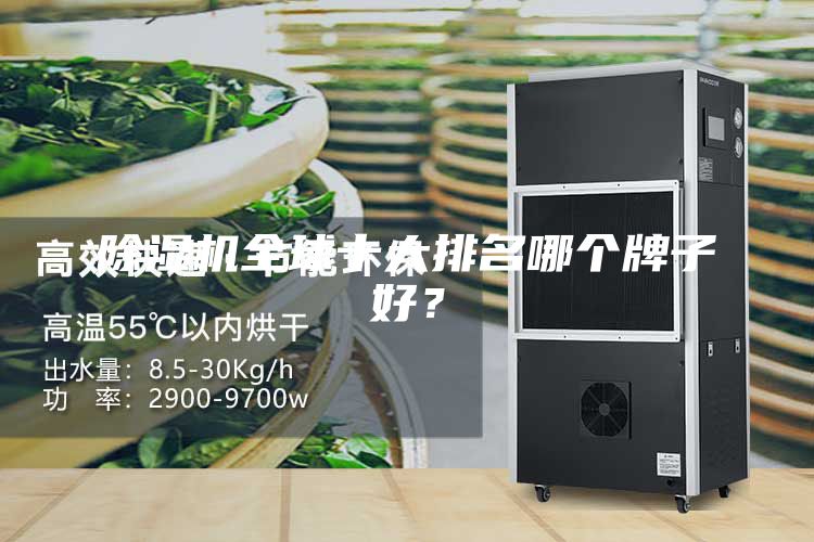 除濕機全球十大排名哪個牌子好？