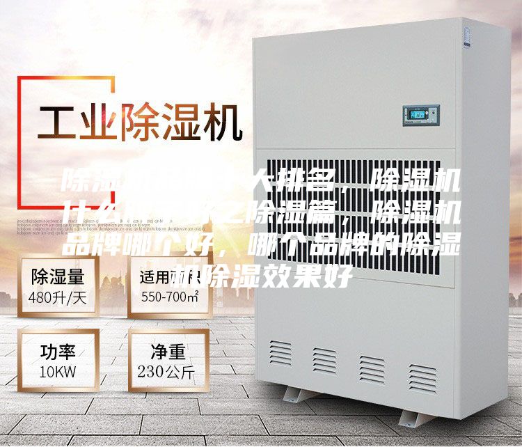 除濕機(jī)品牌十大排名，除濕機(jī)什么牌子好之除濕篇，除濕機(jī)品牌哪個(gè)好，哪個(gè)品牌的除濕機(jī)除濕效果好