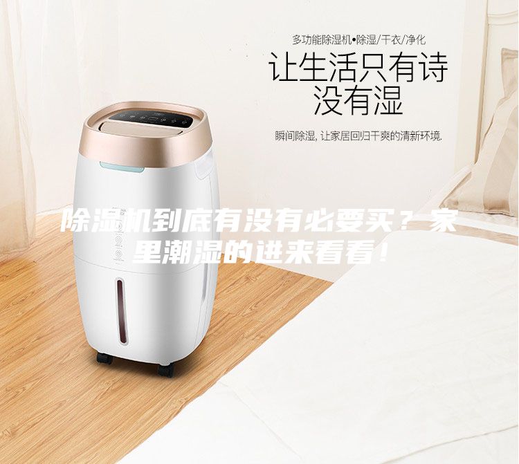 除濕機(jī)到底有沒有必要買？家里潮濕的進(jìn)來看看！