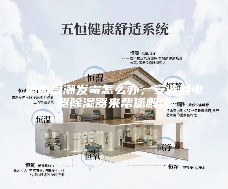 墻面受潮發霉怎么辦,安詩曼電器除濕器來幫您解決