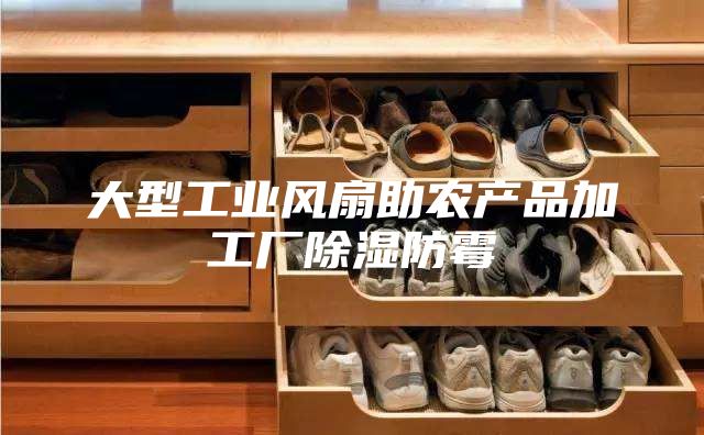 大型工業風扇助農產品加工廠除濕防霉