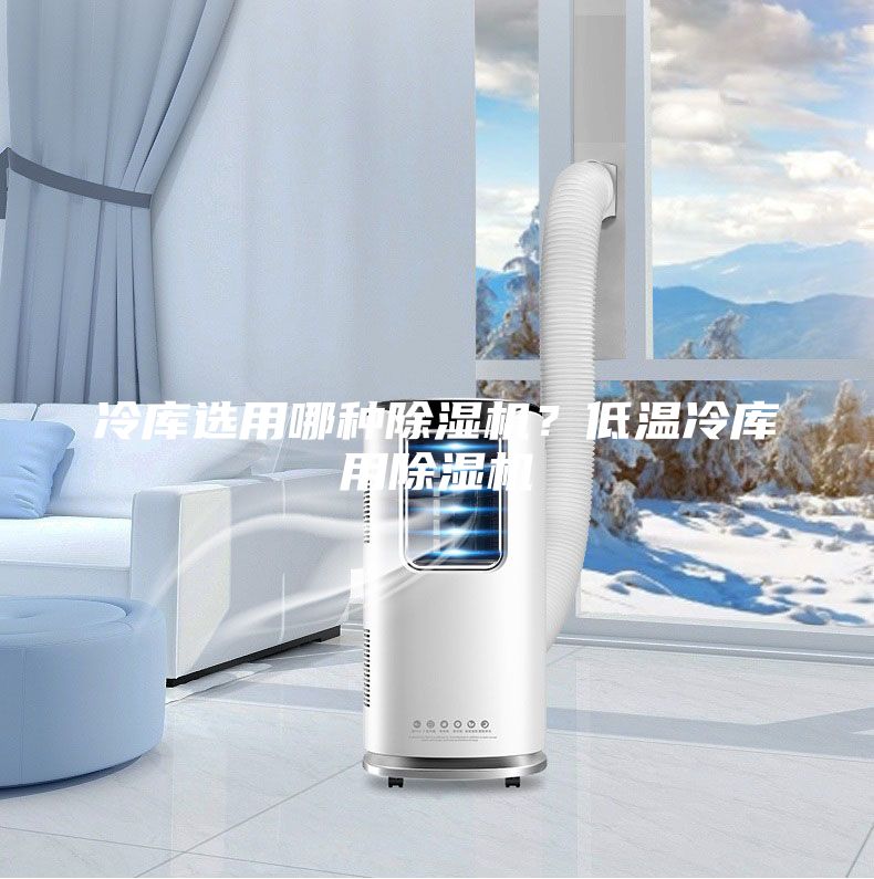 冷庫選用哪種除濕機?低溫冷庫用除濕機