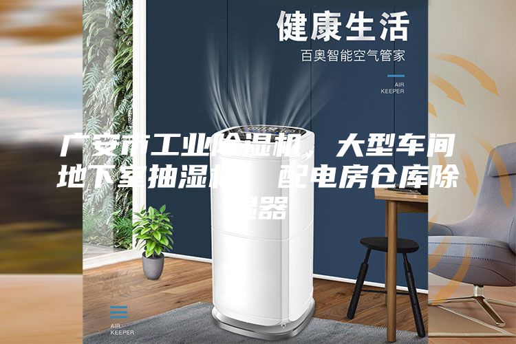 廣安市工業(yè)除濕機(jī)，大型車(chē)間地下室抽濕機(jī)  配電房倉(cāng)庫(kù)除濕器