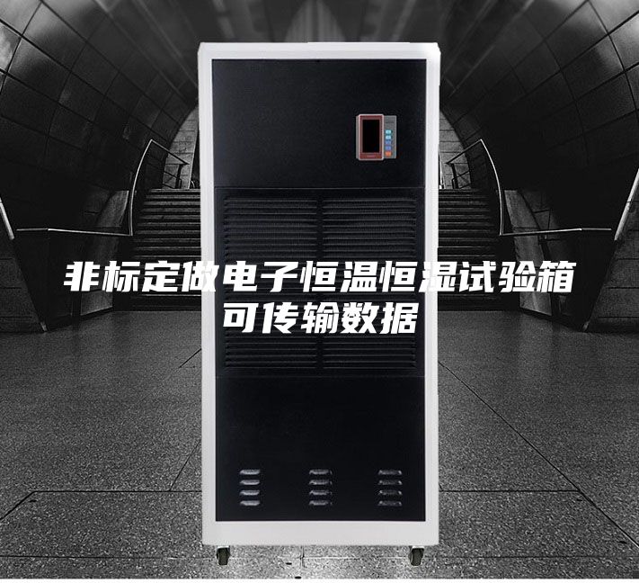 非標(biāo)定做電子恒溫恒濕試驗(yàn)箱可傳輸數(shù)據(jù)