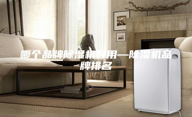 哪個品牌除濕機(jī)好用—除濕機(jī)品牌排名