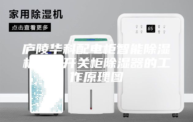 廬陵華科配電柜智能除濕機(jī)裝置開(kāi)關(guān)柜除濕器的工作原理圖