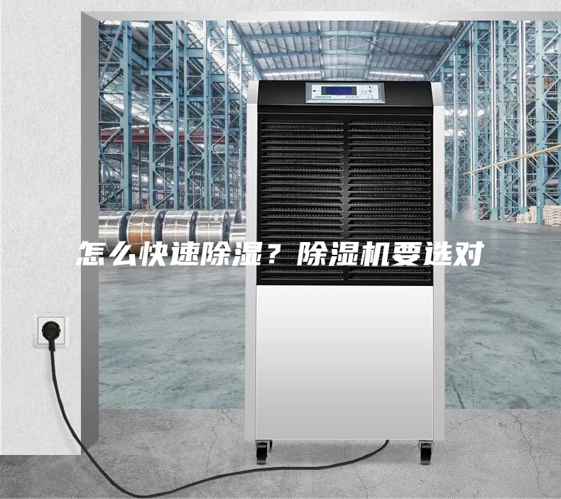 怎么快速除濕？除濕機要選對