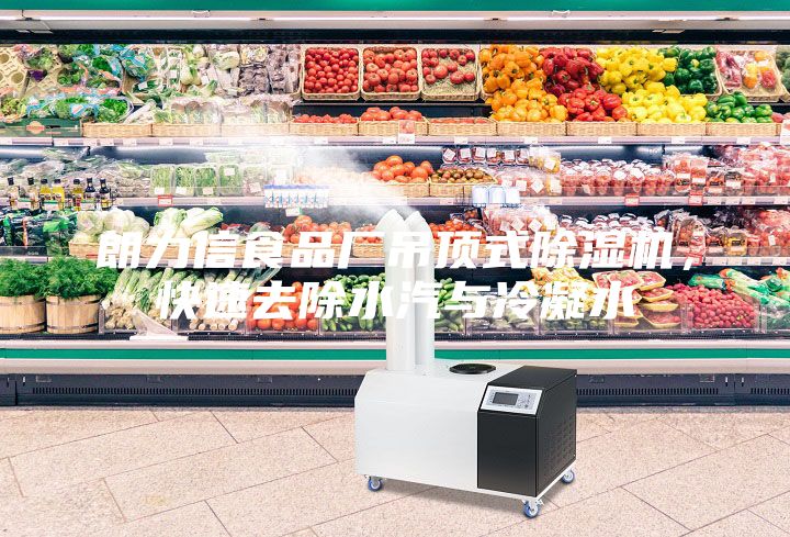 朗力信食品廠吊頂式除濕機，快速去除水汽與冷凝水