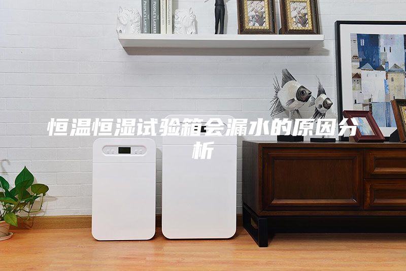 恒溫恒濕試驗箱會漏水的原因分析