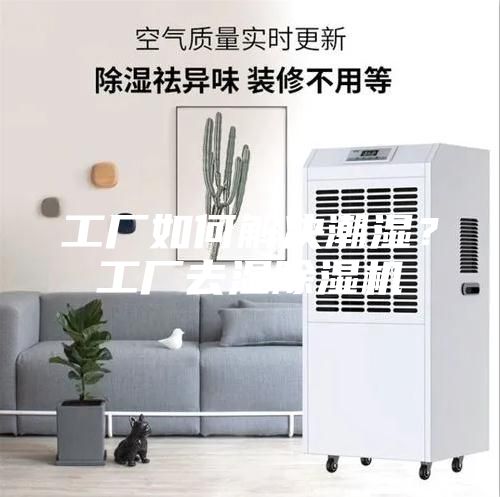 工廠如何解決潮濕?工廠去濕除濕機