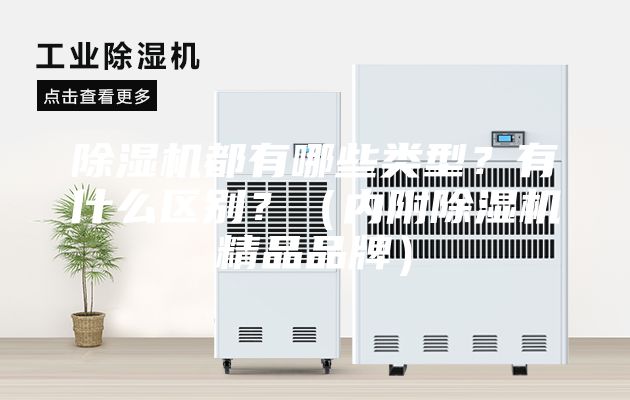 除濕機(jī)都有哪些類型?有什么區(qū)別?(內(nèi)附除濕機(jī)精品品牌)