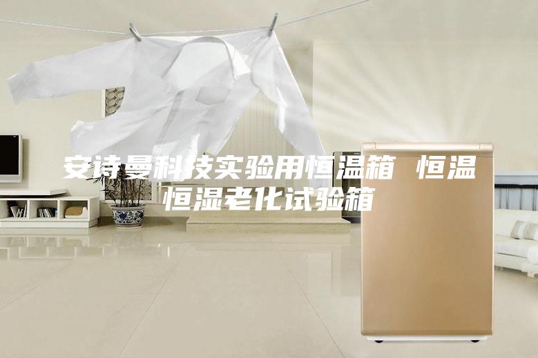 安詩(shī)曼科技實(shí)驗(yàn)用恒溫箱 恒溫恒濕老化試驗(yàn)箱