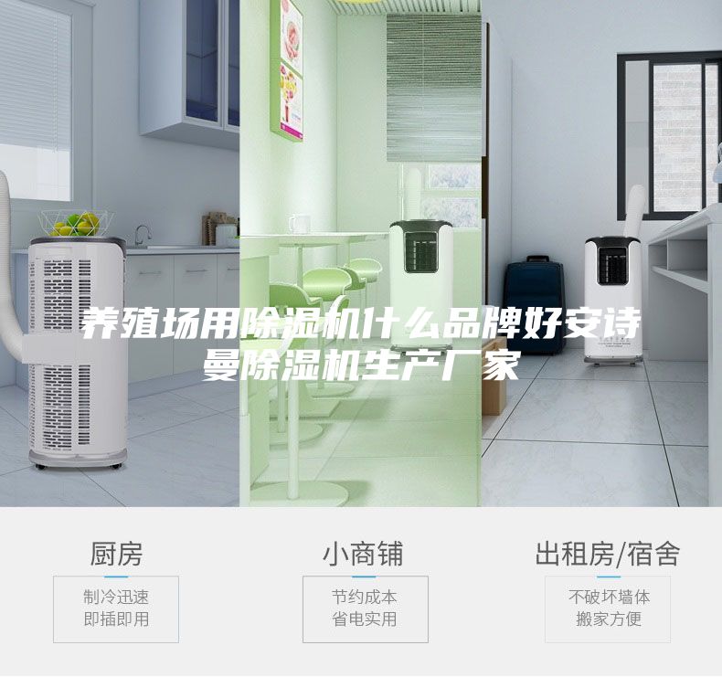 養殖場用除濕機什么品牌好安詩曼除濕機生產廠家