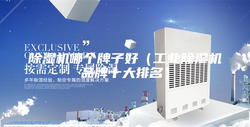 除濕機哪個牌子好（工業除濕機品牌十大排名）