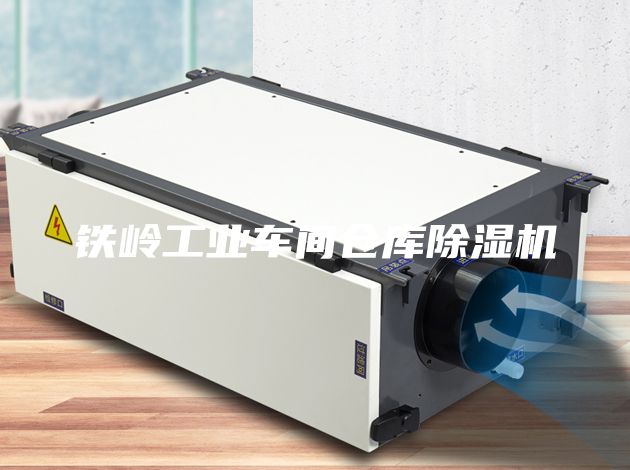 鐵嶺工業(yè)車間倉庫除濕機(jī)