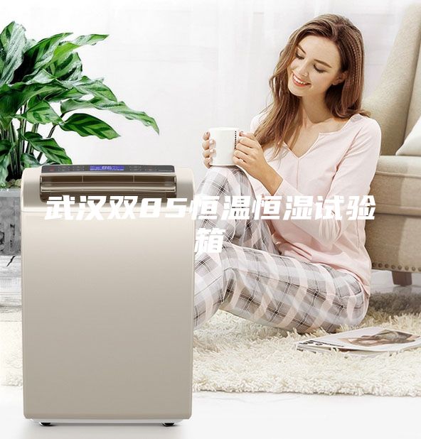 武漢雙85恒溫恒濕試驗箱