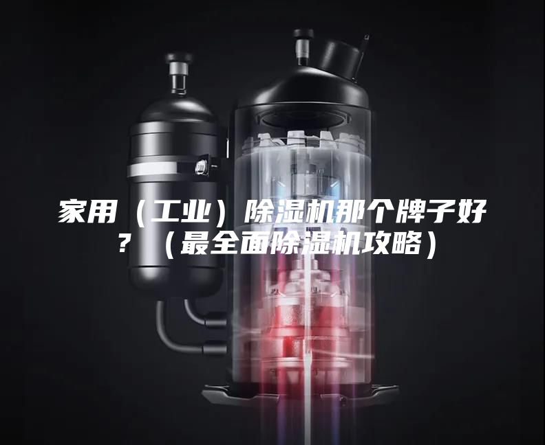 家用（工業）除濕機那個牌子好？（最全面除濕機攻略）