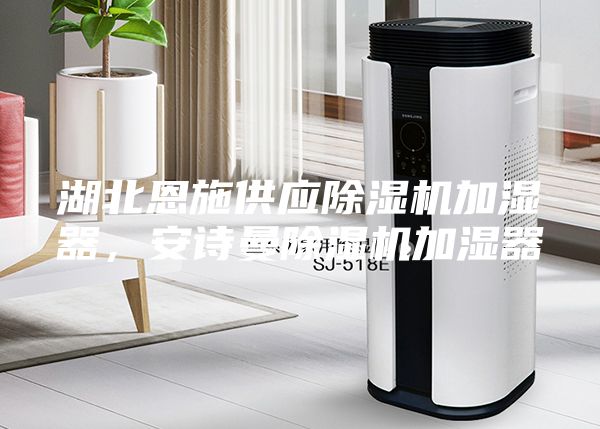 湖北恩施供應除濕機加濕器,安詩曼除濕機加濕器