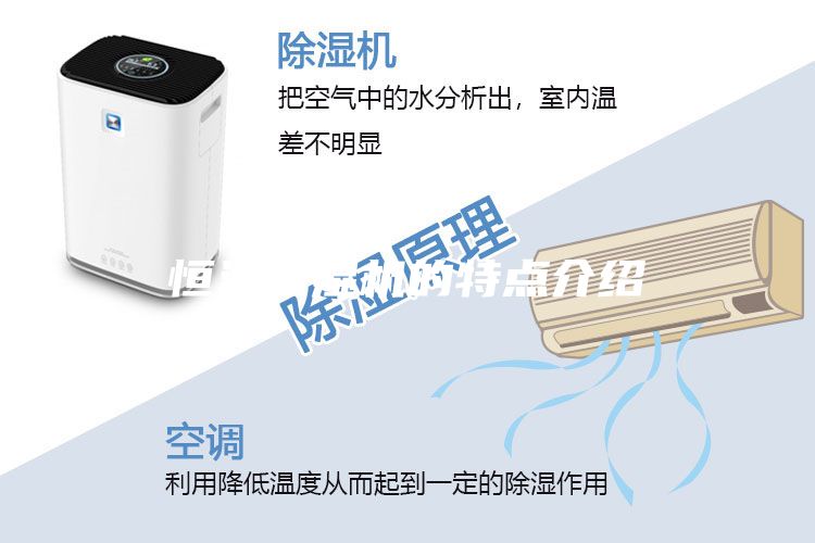 恒溫恒濕機(jī)的特點(diǎn)介紹