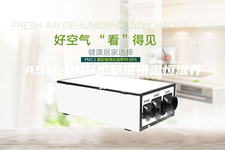 ASM-60B型標準恒溫恒濕養(yǎng)護箱