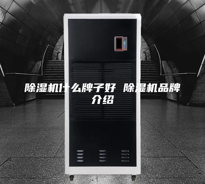 除濕機什么牌子好 除濕機品牌介紹