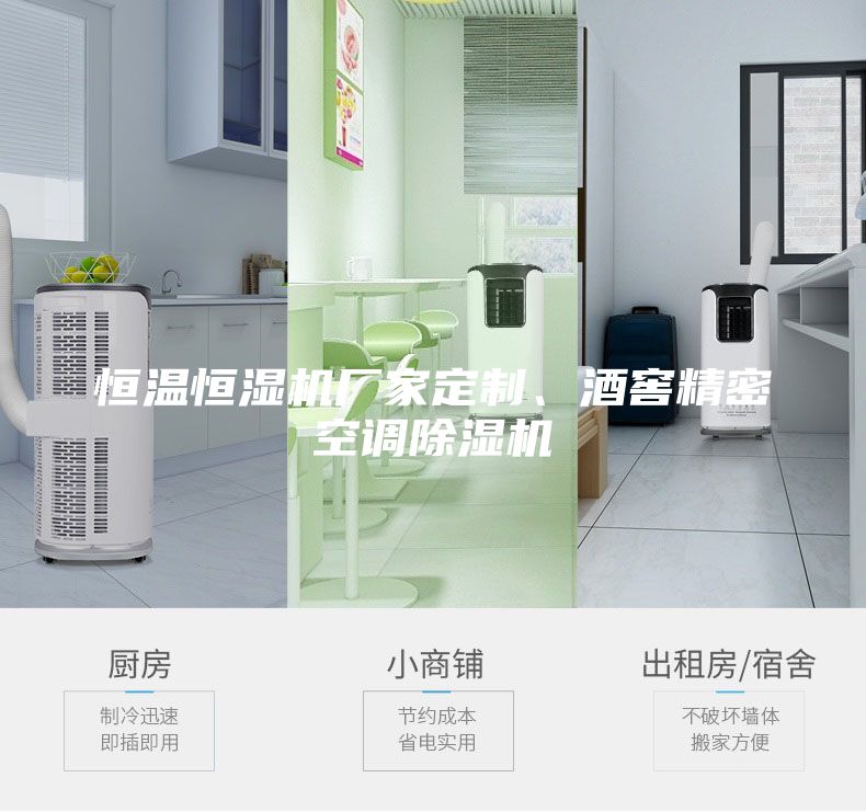 恒溫恒濕機(jī)廠家定制、酒窖精密空調(diào)除濕機(jī)