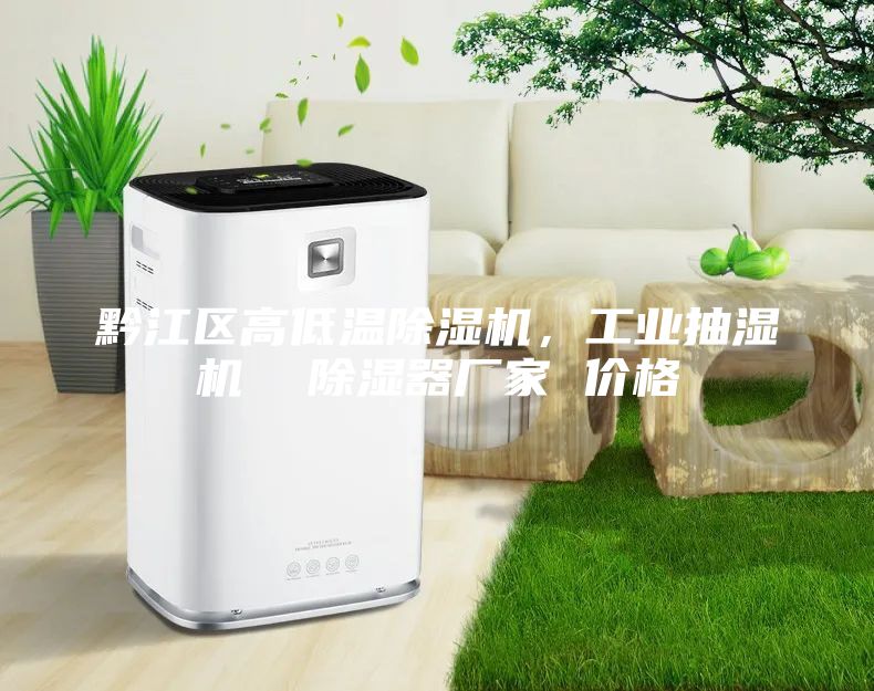 黔江區(qū)高低溫除濕機,工業(yè)抽濕機 除濕器廠家 價格