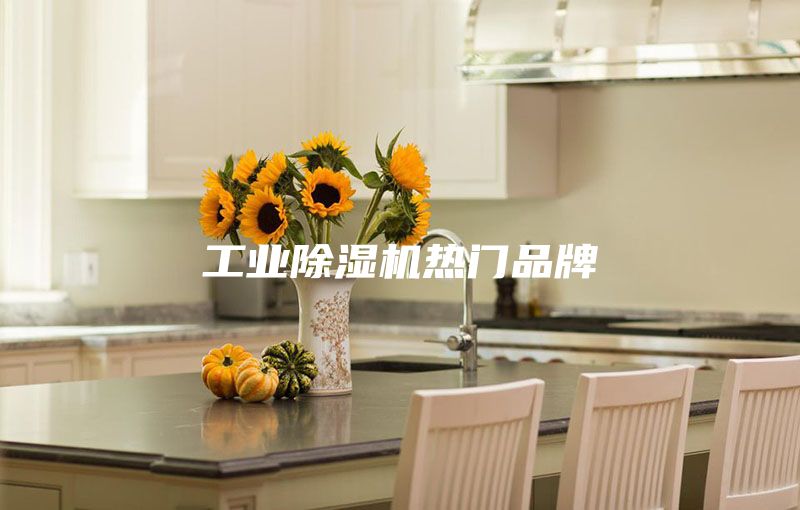 工業(yè)除濕機(jī)熱門品牌