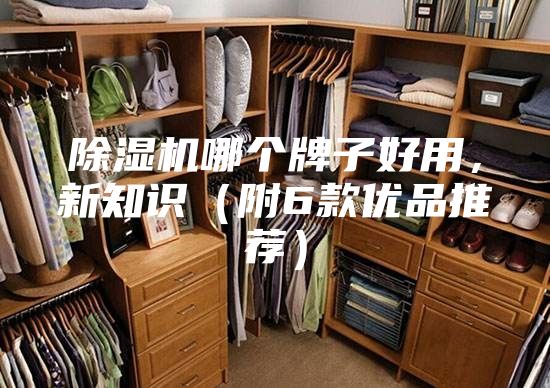 除濕機哪個牌子好用,新知識(附6款優品推薦)