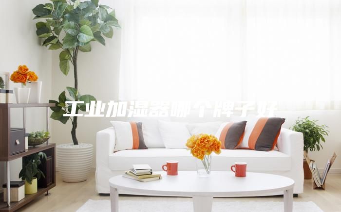 工業(yè)加濕器哪個牌子好