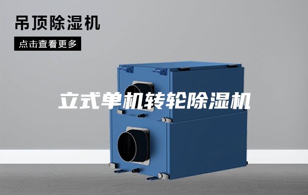 立式單機轉(zhuǎn)輪除濕機