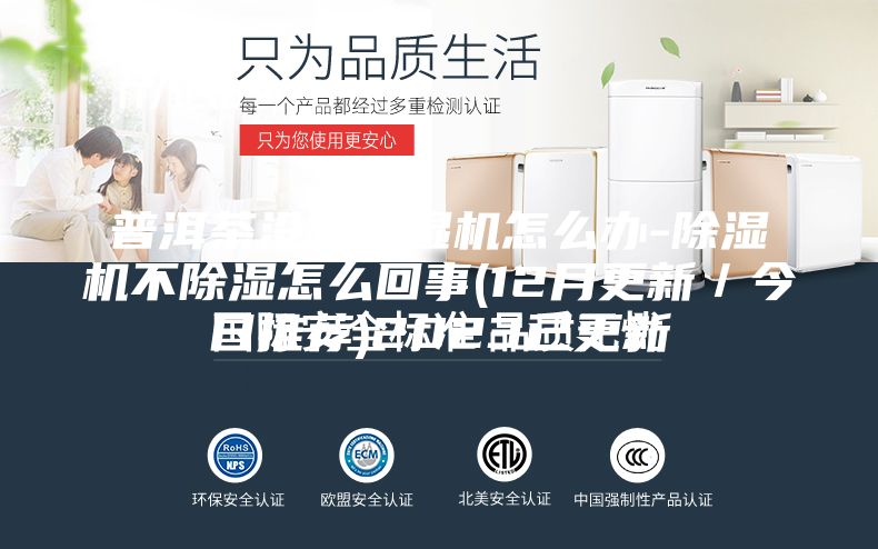 普洱茶沒有除濕機(jī)怎么辦-除濕機(jī)不除濕怎么回事(12月更新／今日推薦)2023已更新