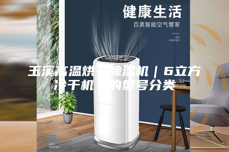 玉溪高溫烘干除濕機(jī)｜6立方冷干機(jī)｜的型號分類