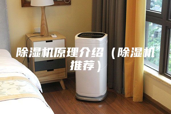除濕機(jī)原理介紹(除濕機(jī)推薦)