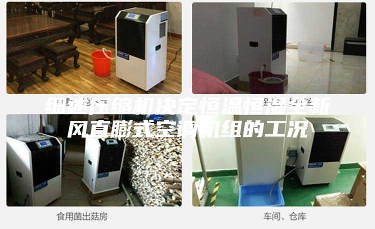細述壓縮機決定恒溫恒濕全新風直膨式空調機組的工況